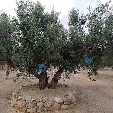 La Caseta Roquetes